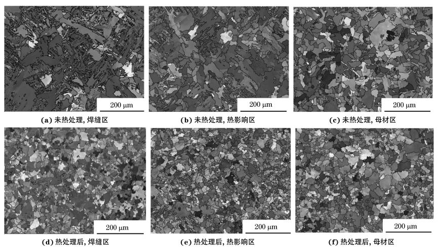 圖２ 熱處理前后焊接接頭焊縫區(qū)、熱影響區(qū)和母材區(qū)的取向成像圖