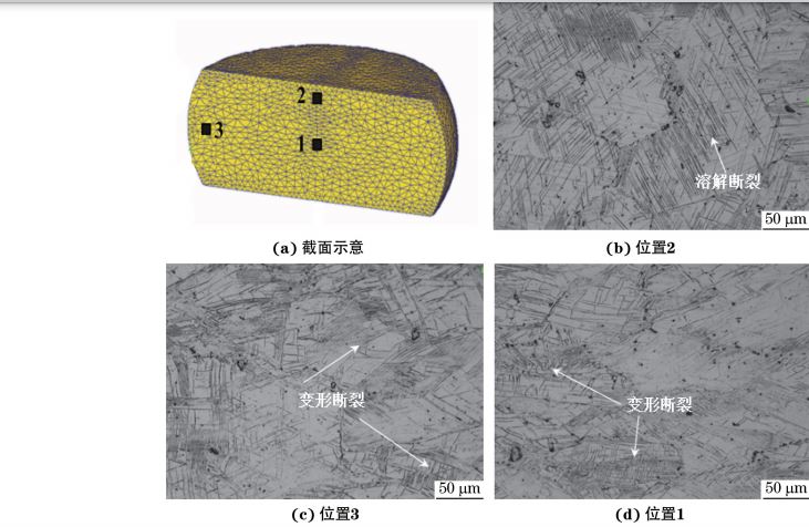 在９８０ ℃、應(yīng)變速率為０．０１０s－１下壓縮至應(yīng)變量為３０％后