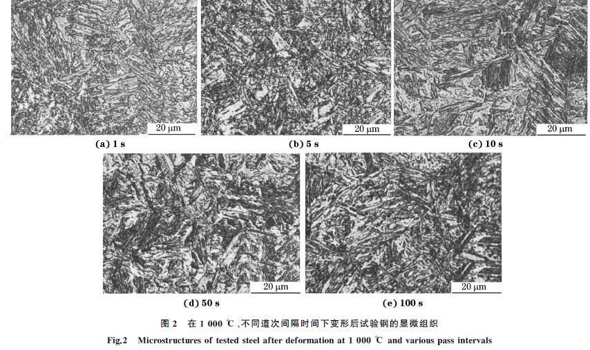 圖２ 在１０００ ℃、不同道次間隔時(shí)間下變形后試驗(yàn)鋼的顯微組織